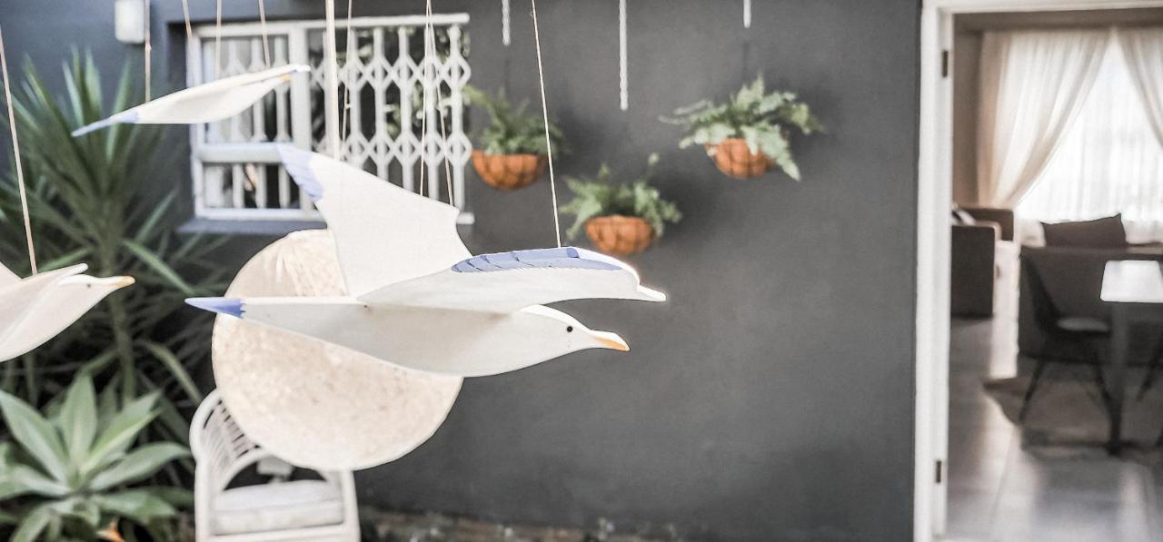 Seagull เฮอร์มานุส ภายนอก รูปภาพ